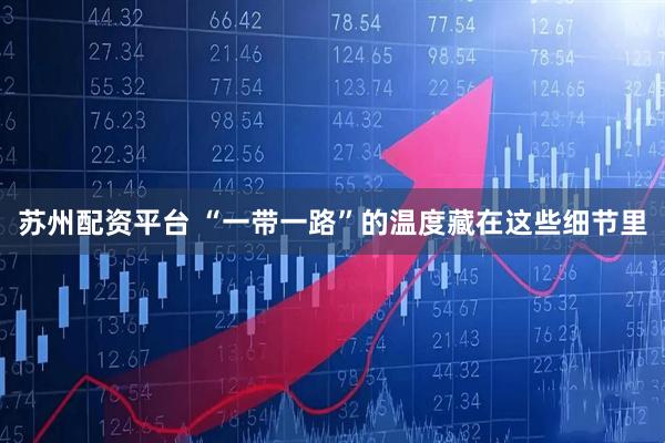 苏州配资平台 “一带一路”的温度藏在这些细节里