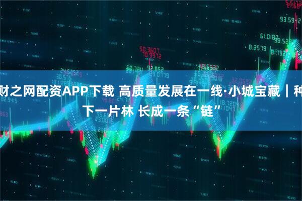 财之网配资APP下载 高质量发展在一线·小城宝藏|种下一片林 长成一条“链”